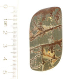 DVH Sonora Dendritic Jasper Matte Freeform Cabochon 50x25x7 (8518) - DVHdesigns