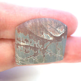 DVH Sonora Dendritic Jasper Rhyolite Matte Cabochon 24x26x6 (8717)