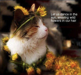 Compensation for SPIRITUAL LABOR & WOO WORK - DVHdesigns