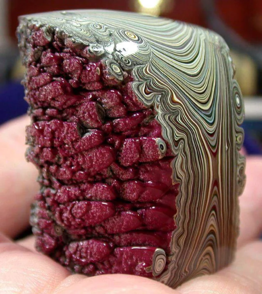 Close-up cross section of genuine Fordite showing layered automotive paint overspray from a Michigan factory, with agate-like bands and baked enamel texture.