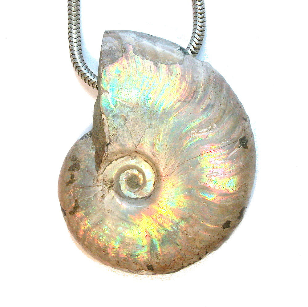 Beads - Fossil