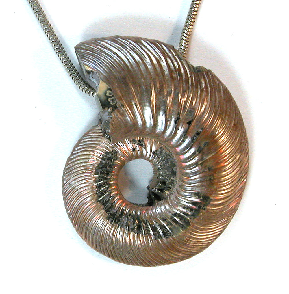 DVH Russian Natural Ammonite Pyrite Focal Bead 40x33x9mm (9699)
