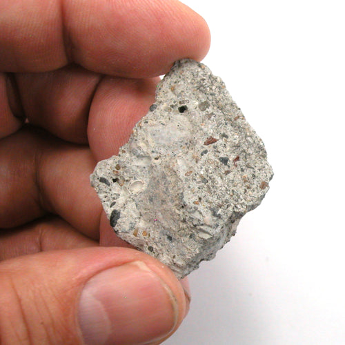 Castro Concrete Gay Pride Relic from Sidewalk of Harvey Milk Camera Shop  (5633) - DVHdesigns