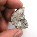 Castro Concrete Gay Pride Relic from Sidewalk of Harvey Milk Camera Shop (5635) - DVHdesigns