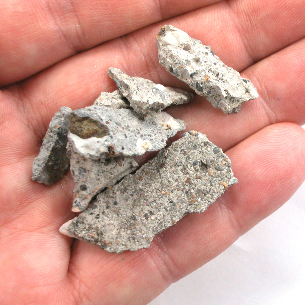 10g Castro Concrete Gay Pride Relic from Sidewalk of Harvey Milk Camera Shop (5695) - DVHdesigns