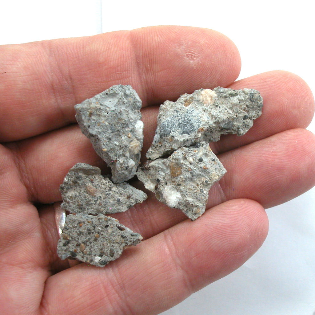 10g Castro Concrete Gay Pride Relic from Sidewalk of Harvey Milk Camera Shop (5696) - DVHdesigns