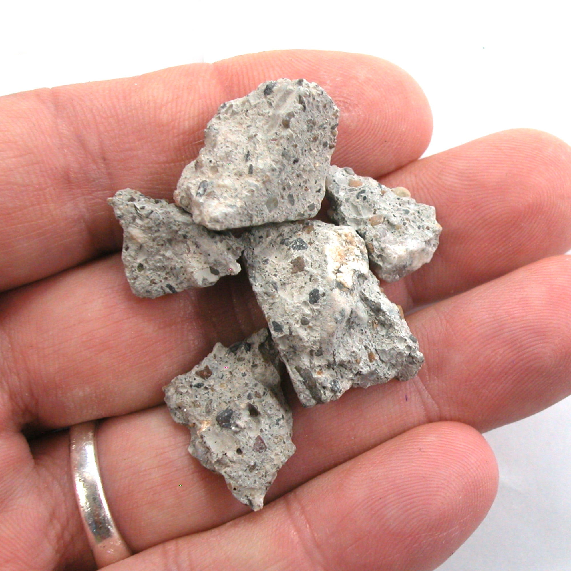 10g Castro Concrete Gay Pride Relic from Sidewalk of Harvey Milk Camera Shop (5697) - DVHdesigns