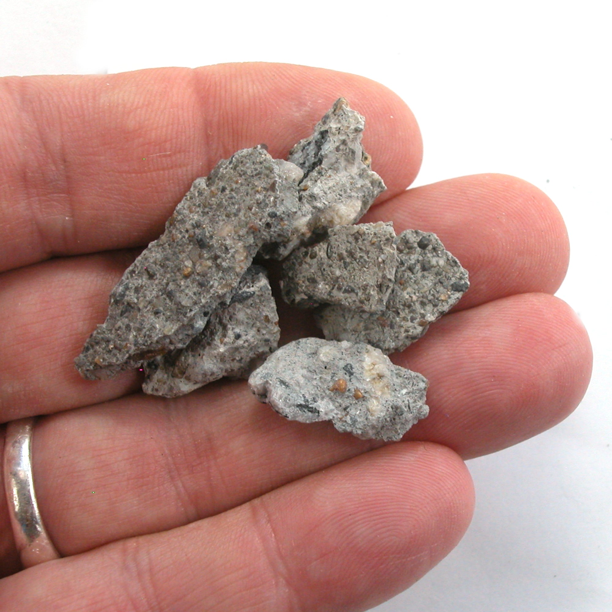 10g Castro Concrete Gay Pride Relic from Sidewalk of Harvey Milk Camera Shop (5698) - DVHdesigns