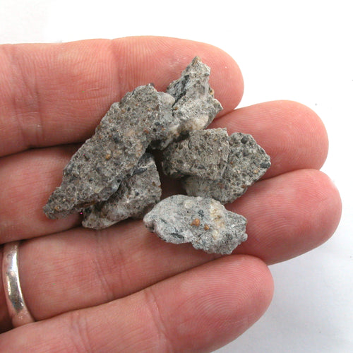 10g Castro Concrete Gay Pride Relic from Sidewalk of Harvey Milk Camera Shop (5698) - DVHdesigns