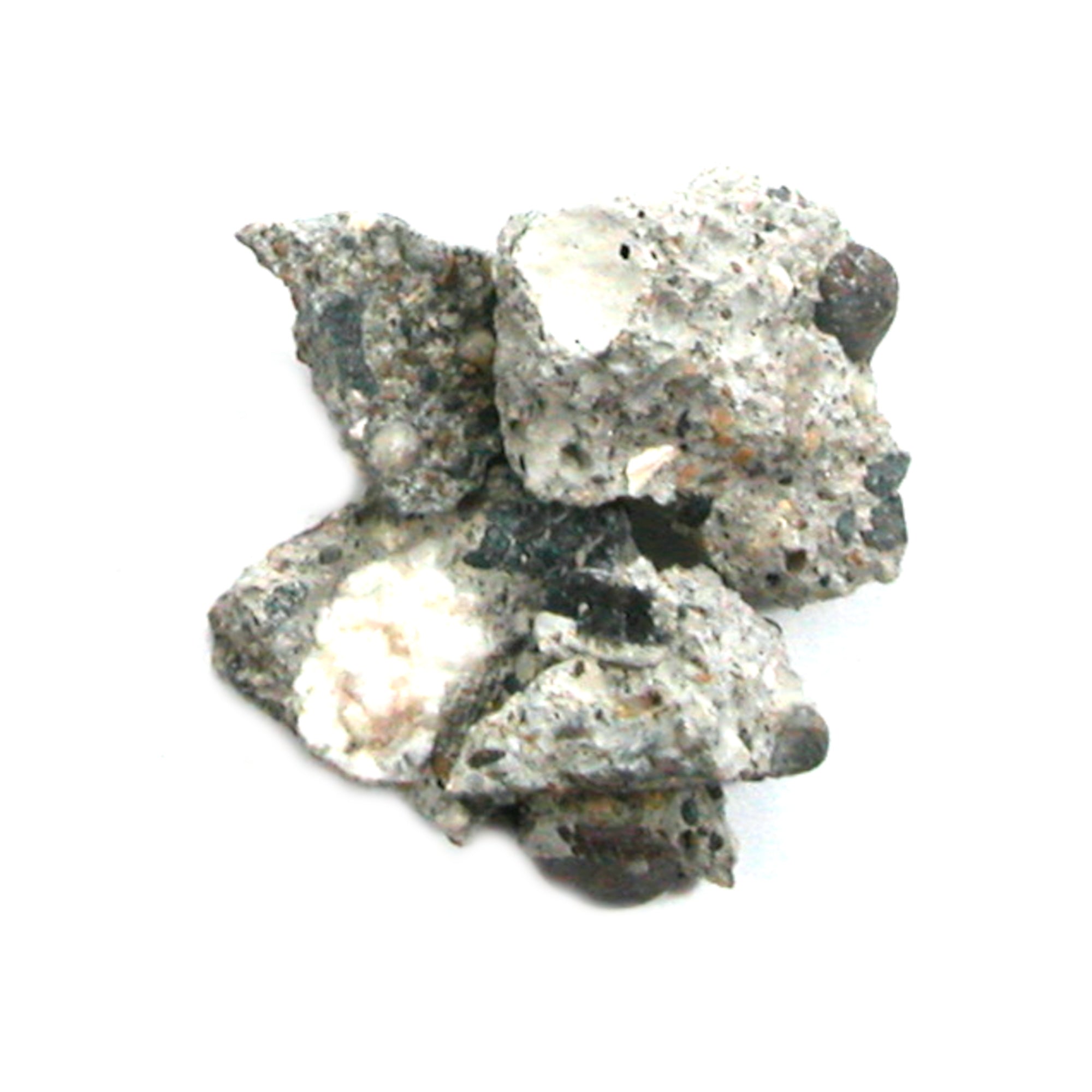 10g Castro Concrete Gay Pride Relic from Sidewalk of Harvey Milk Camera Shop (5698) - DVHdesigns