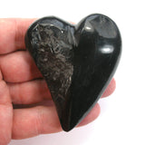 DVH 2oz American Shungite Bituminous Coal Heart Fossil Fuel Climate Grief Healing Crystal (5622)