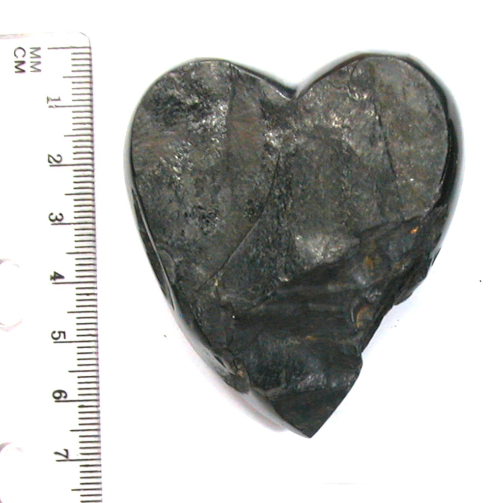 DVH 1.8oz American Shungite Bituminous Coal Heart Fossil Fuel Climate Grief Healing Crystal (5623) - DVHdesigns