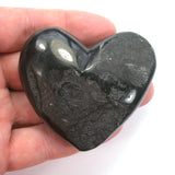 DVH 2oz American Shungite Bituminous Coal Heart Fossil Fuel Climate Grief Healing Crystal (5625)