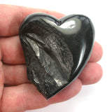 DVH 1.4oz American Shungite Bituminous Coal Heart Fossil Fuel Climate Grief Healing Crystal (5626)