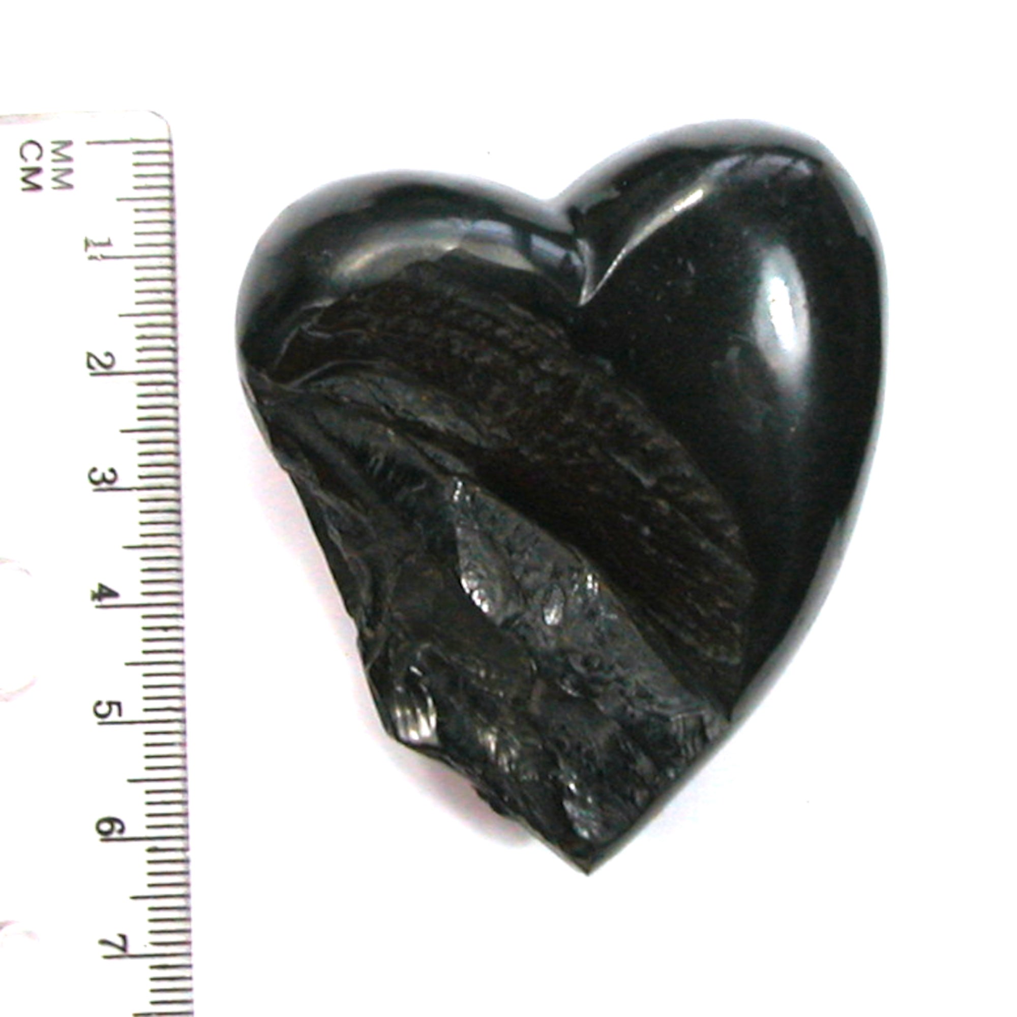 DVH 1.4oz American Shungite Bituminous Coal Heart Fossil Fuel Climate Grief Healing Crystal (5626) - DVHdesigns