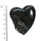 DVH 1.4oz American Shungite Bituminous Coal Heart Fossil Fuel Climate Grief Healing Crystal (5626)