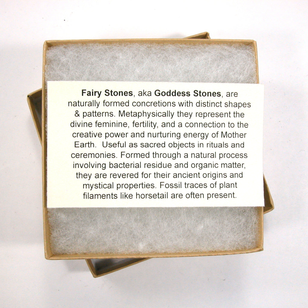 DVH Goddess in Wheelchair Fairy Stone Concretion Rock Quebec 79x41x11mm (5552) - DVHdesigns