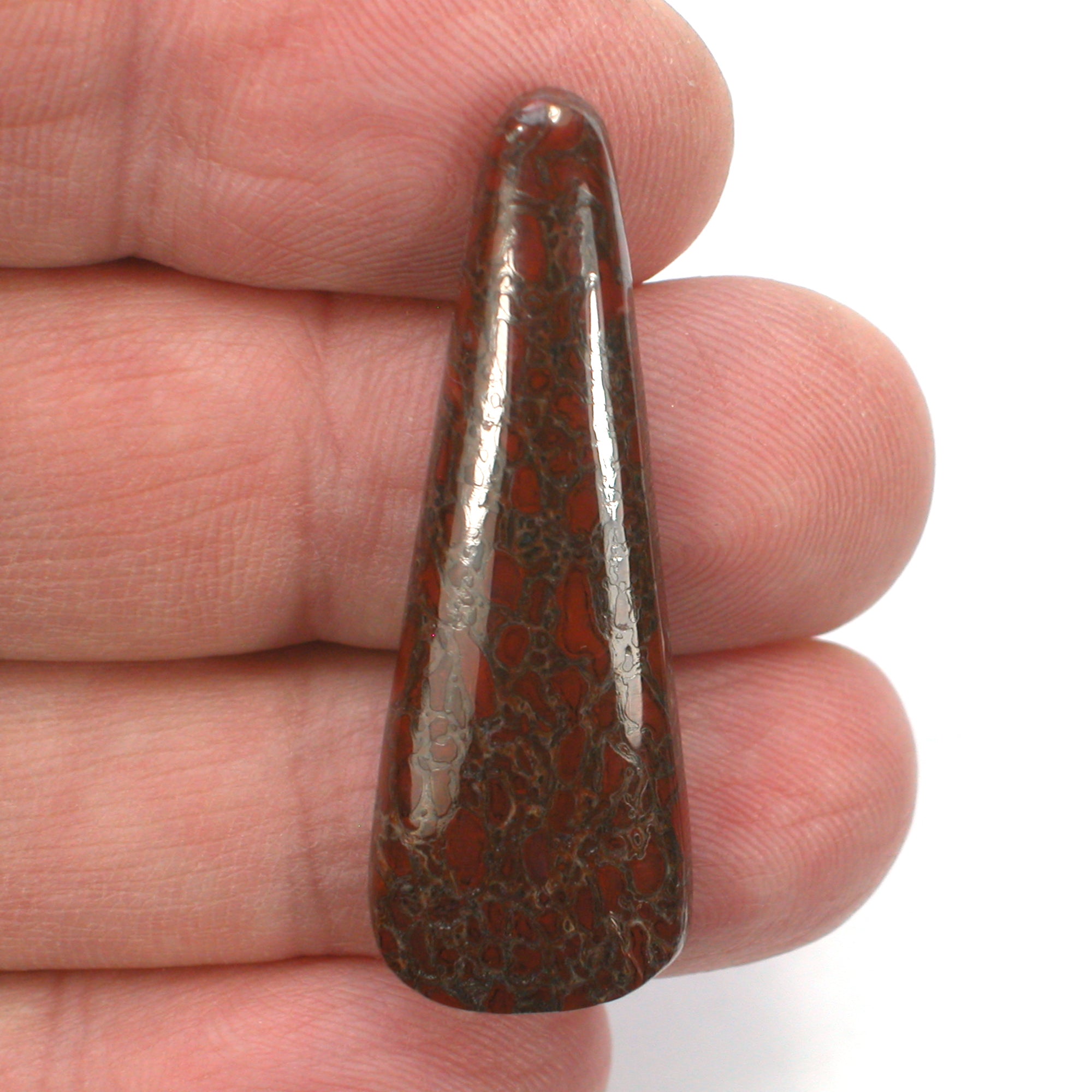 DVH Dinosaur Bone Cabochon Fossil Dino Cab 42x15x5mm (5508) - DVHdesigns