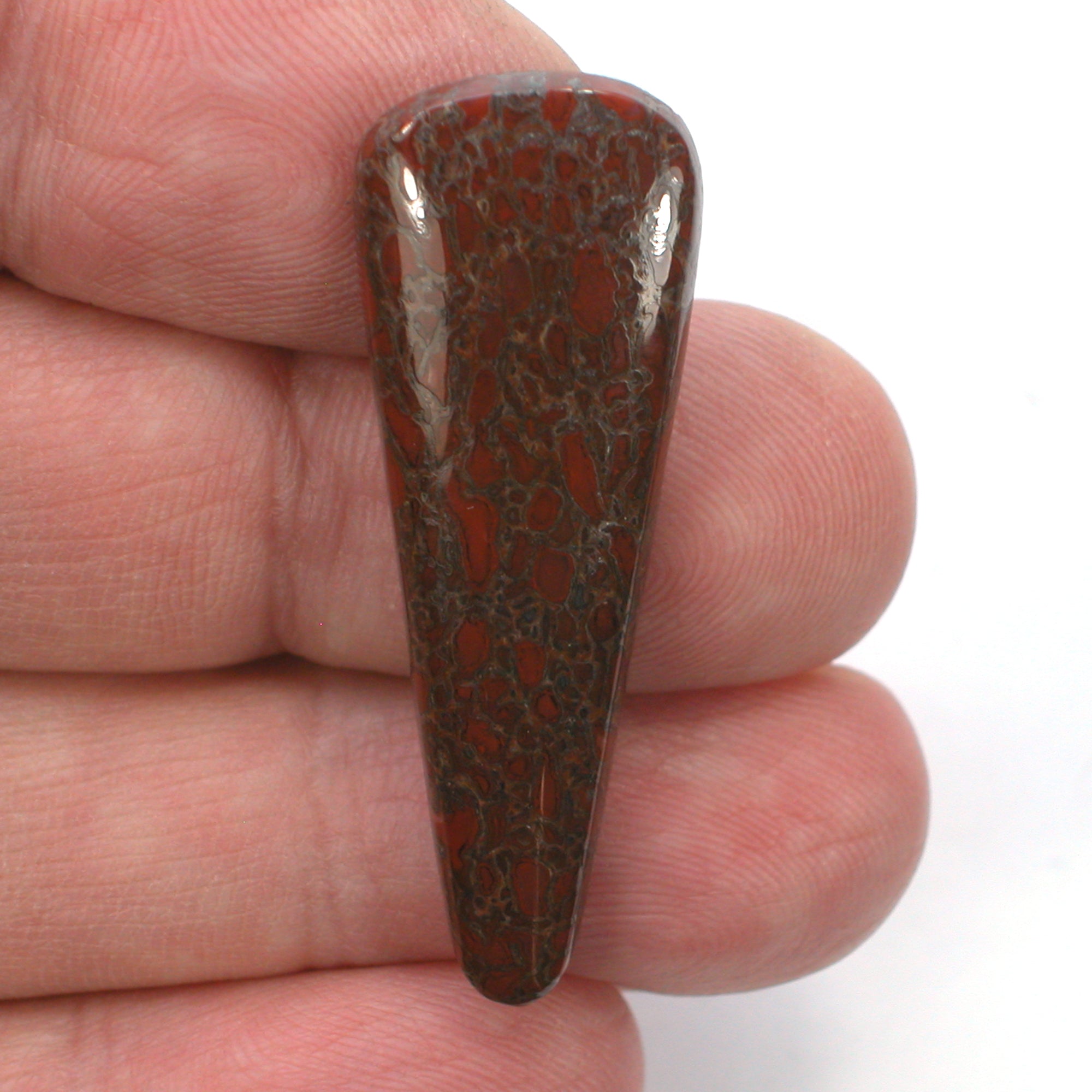 DVH Dinosaur Bone Cabochon Fossil Dino Cab 42x15x5mm (5508) - DVHdesigns