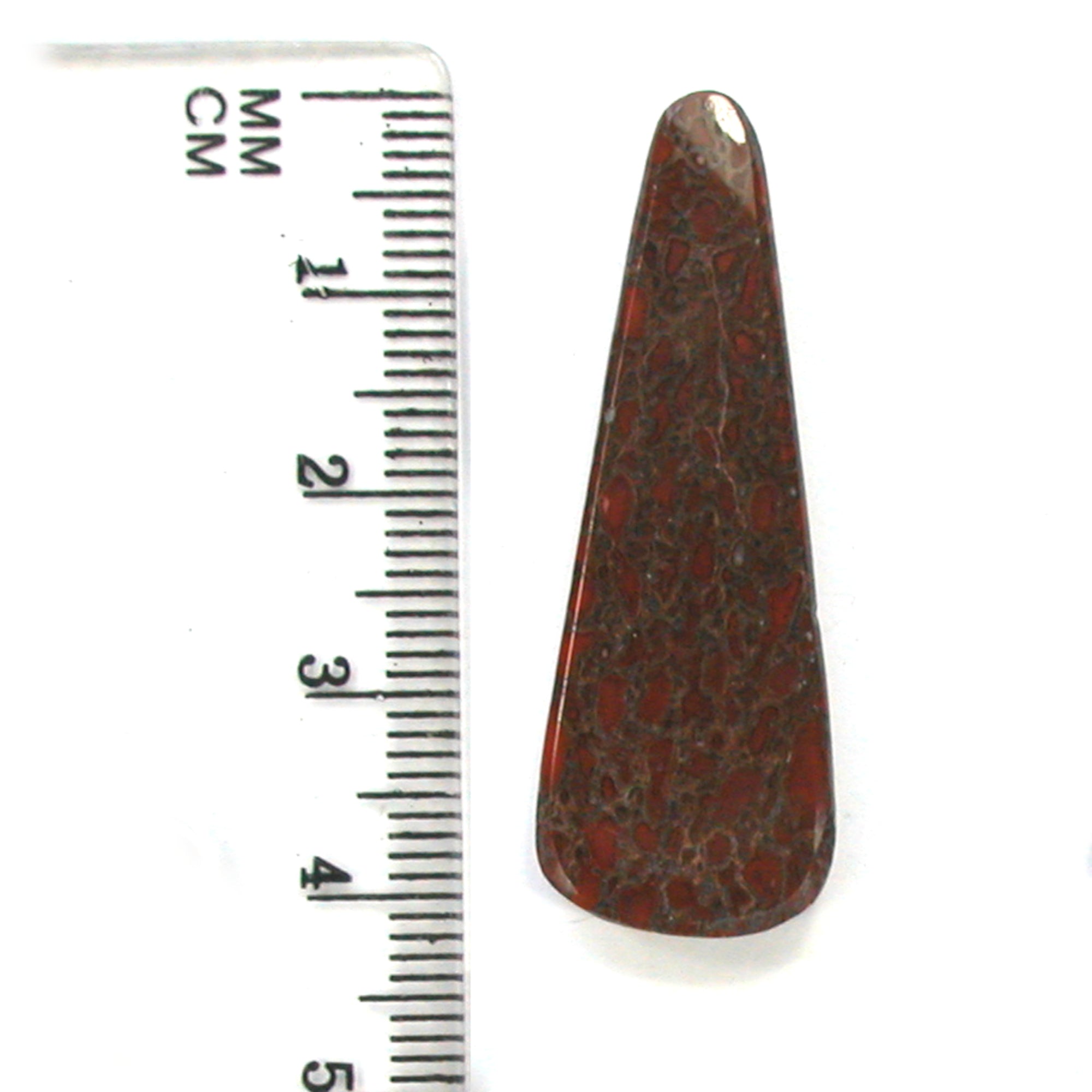 DVH Dinosaur Bone Cabochon Fossil Dino Cab 42x15x5mm (5508) - DVHdesigns