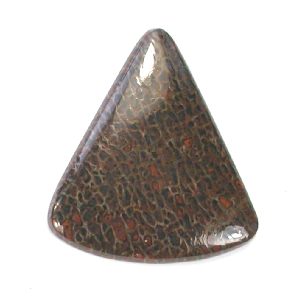 DVH Dinosaur Bone Cabochon Fossil Dino Cab 39x35x5mm (5509) - DVHdesigns
