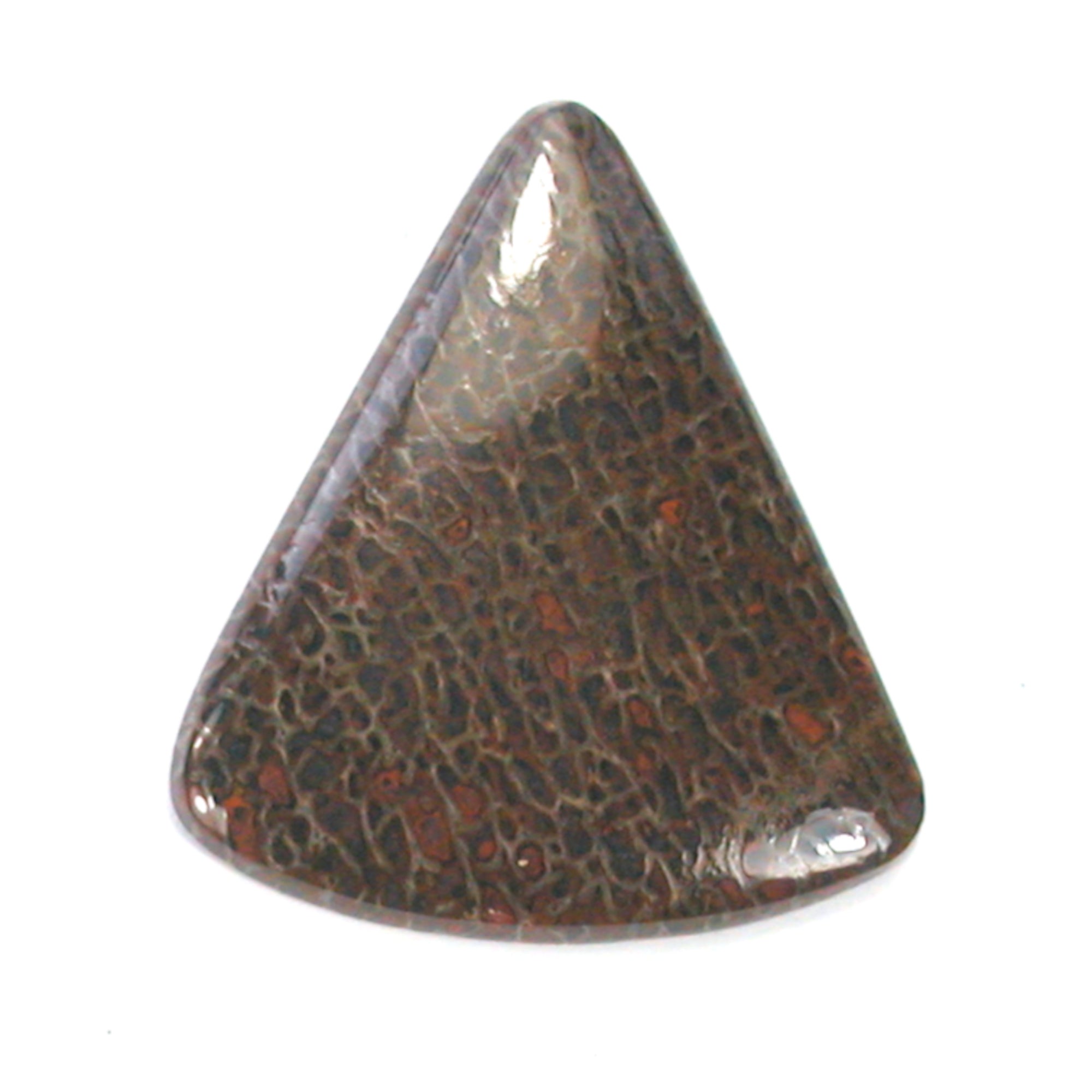 DVH Dinosaur Bone Cabochon Fossil Dino Cab 39x35x5mm (5509) - DVHdesigns
