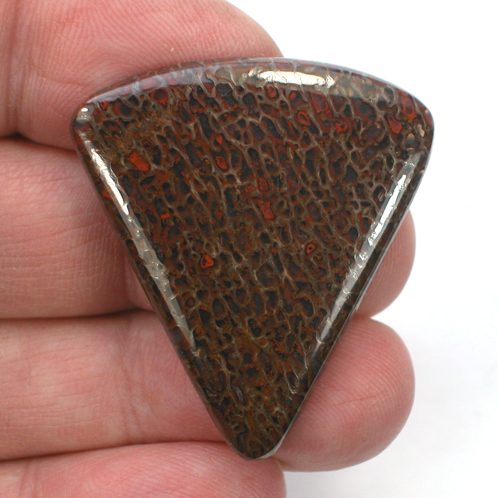 DVH Dinosaur Bone Cabochon Fossil Dino Cab 39x35x5mm (5509) - DVHdesigns