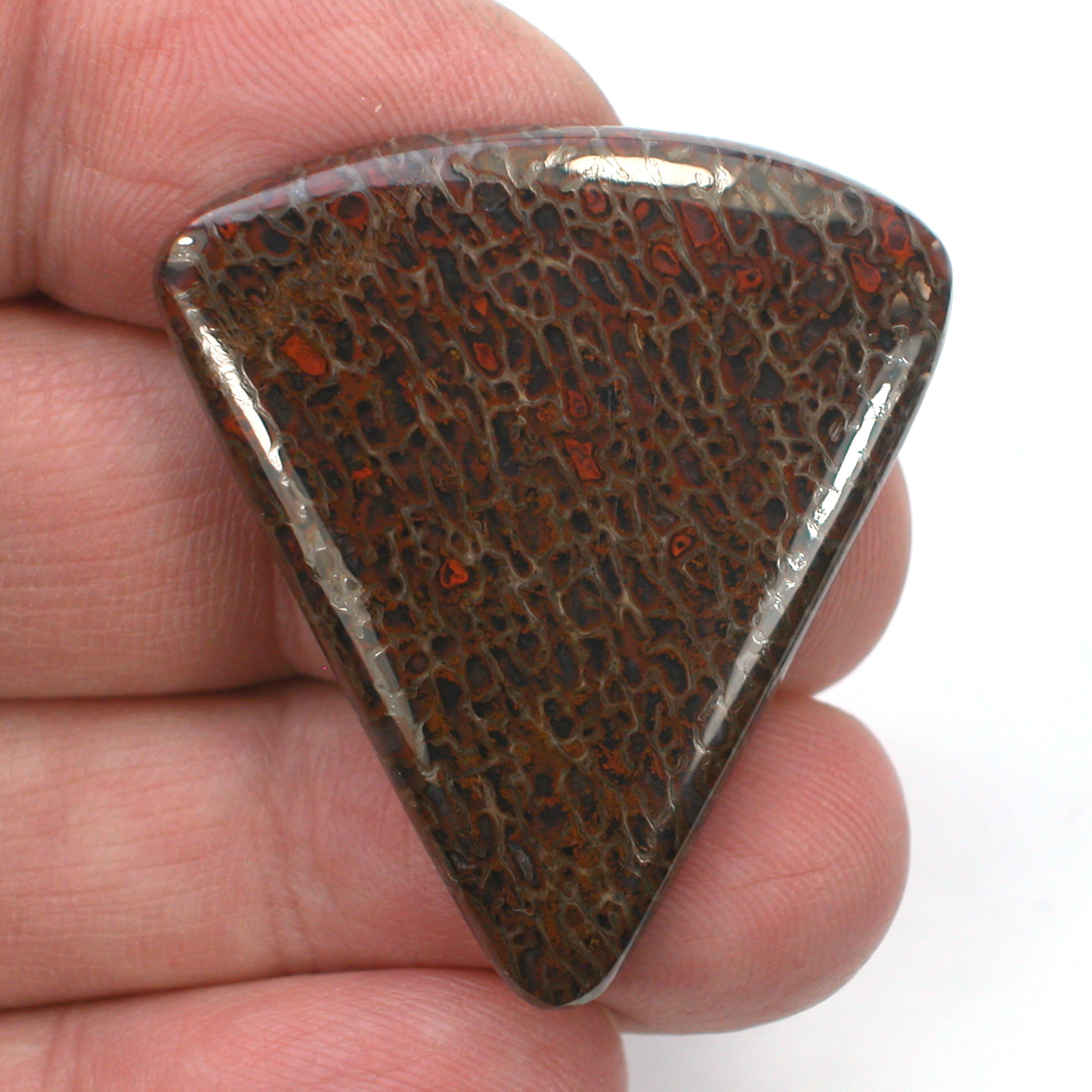 DVH Dinosaur Bone Cabochon Fossil Dino Cab 39x35x5mm (5509) - DVHdesigns