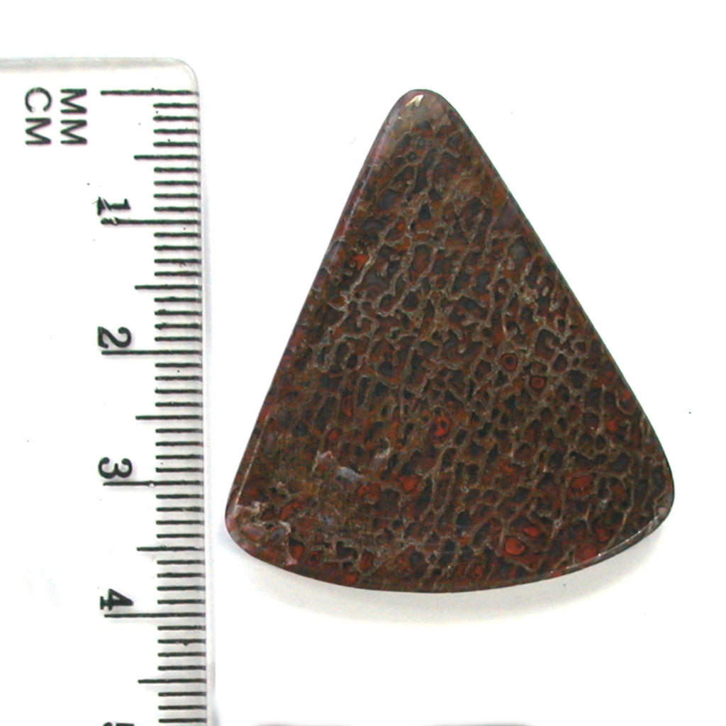 DVH Dinosaur Bone Cabochon Fossil Dino Cab 39x35x5mm (5509) - DVHdesigns