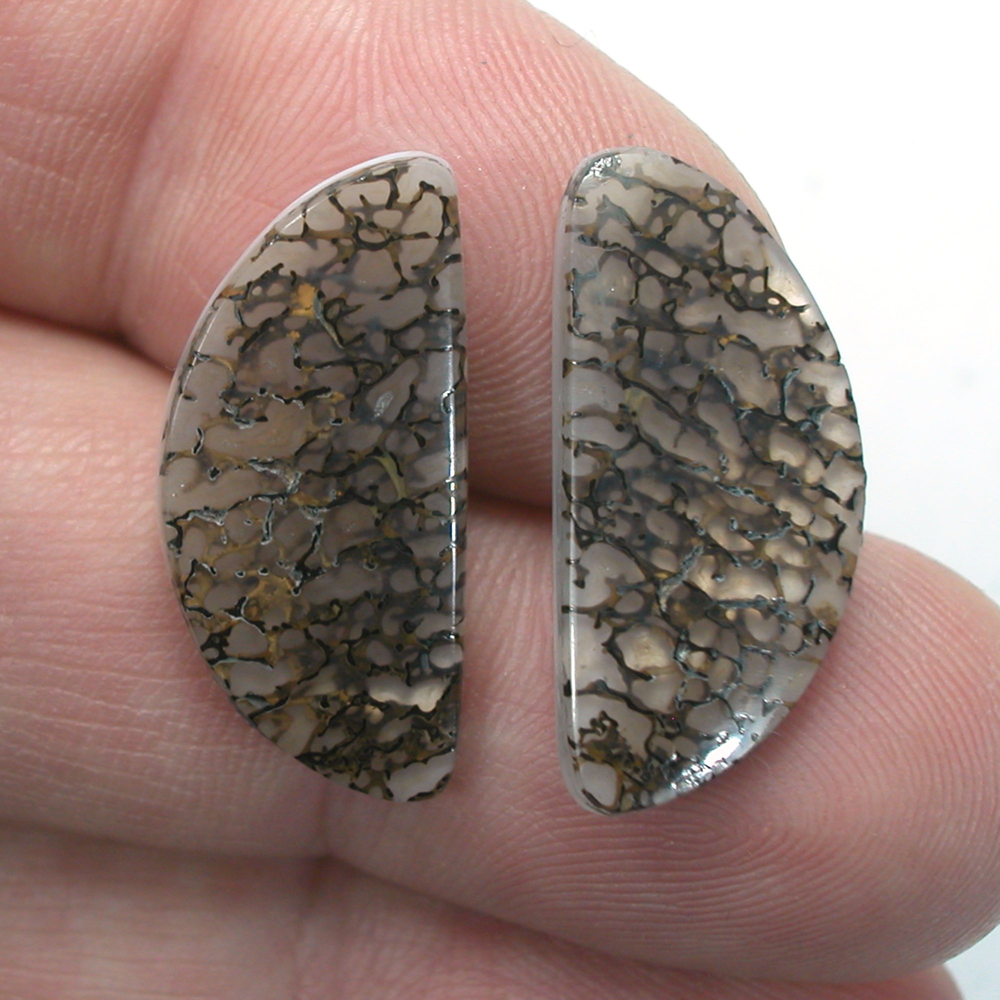 DVH Gem Dinosaur Bone Biopsy Mother of Pearl Doublet Cabochon Pair 25x12x3mm (5426) - DVHdesigns
