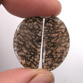 DVH Gem Dinosaur Bone Biopsy Mother of Pearl Doublet Cabochon Pair 25x12x3mm (5426) - DVHdesigns