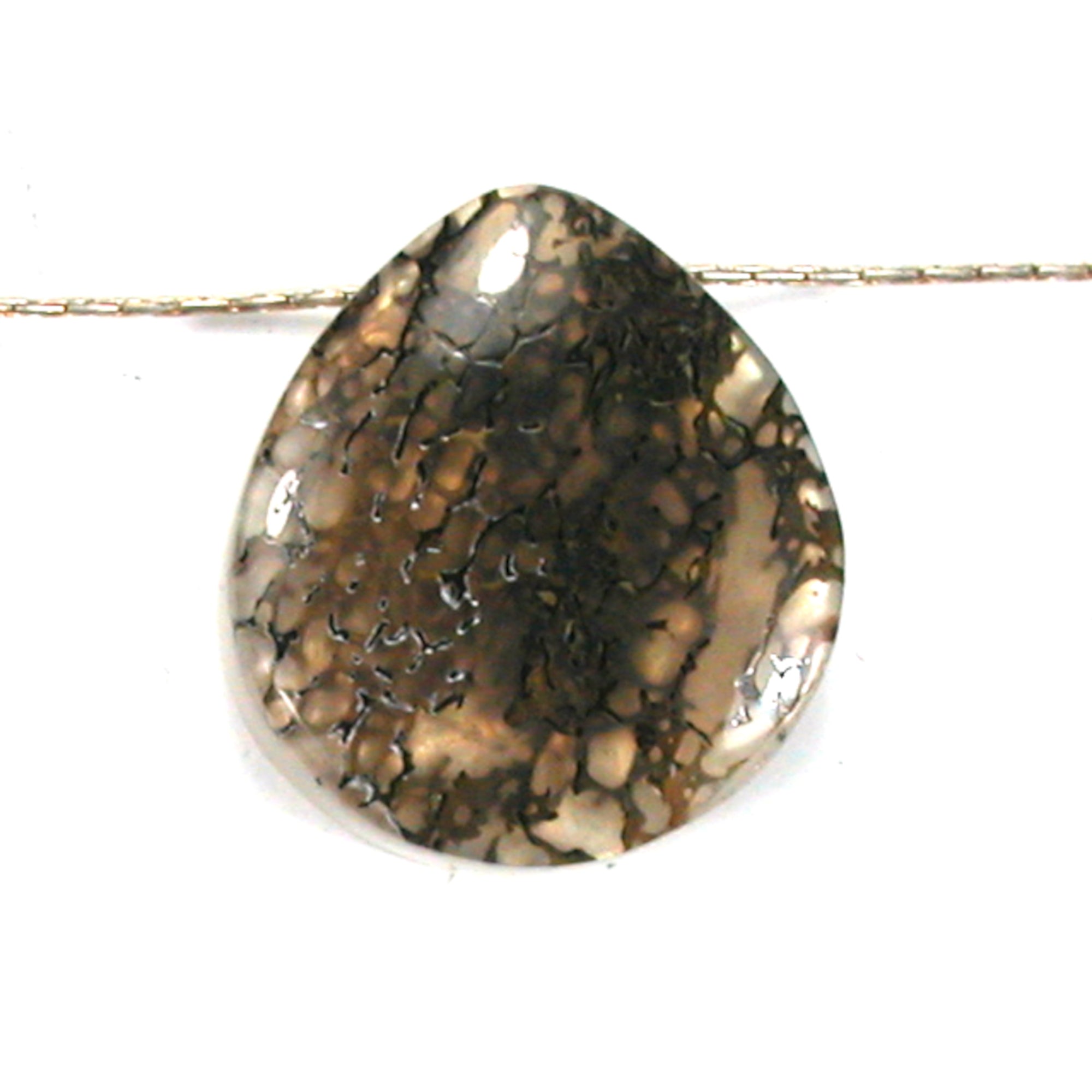 DVH Gem Dinosaur Bone Biopsy Mother of Pearl Doublet Bead 21x19x6mm (5429) - DVHdesigns