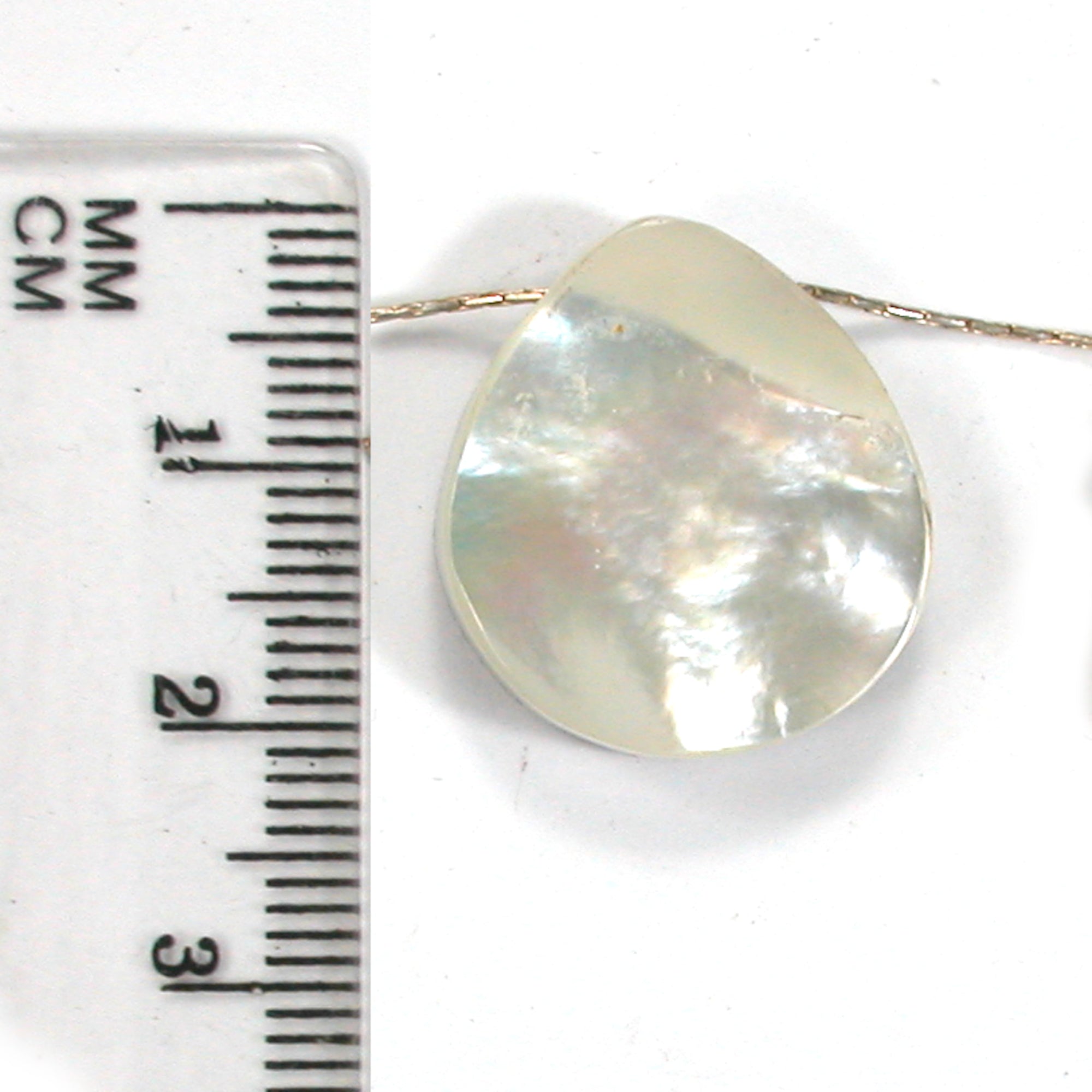 DVH Gem Dinosaur Bone Biopsy Mother of Pearl Doublet Bead 21x19x6mm (5429) - DVHdesigns