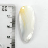 DVH Gem Dinosaur Bone Biopsy Mother of Pearl Doublet Bead 33x14x7mm (5797)