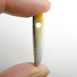 DVH Gem Dinosaur Bone Biopsy Mother of Pearl Doublet Bead 33x14x7mm (5797)