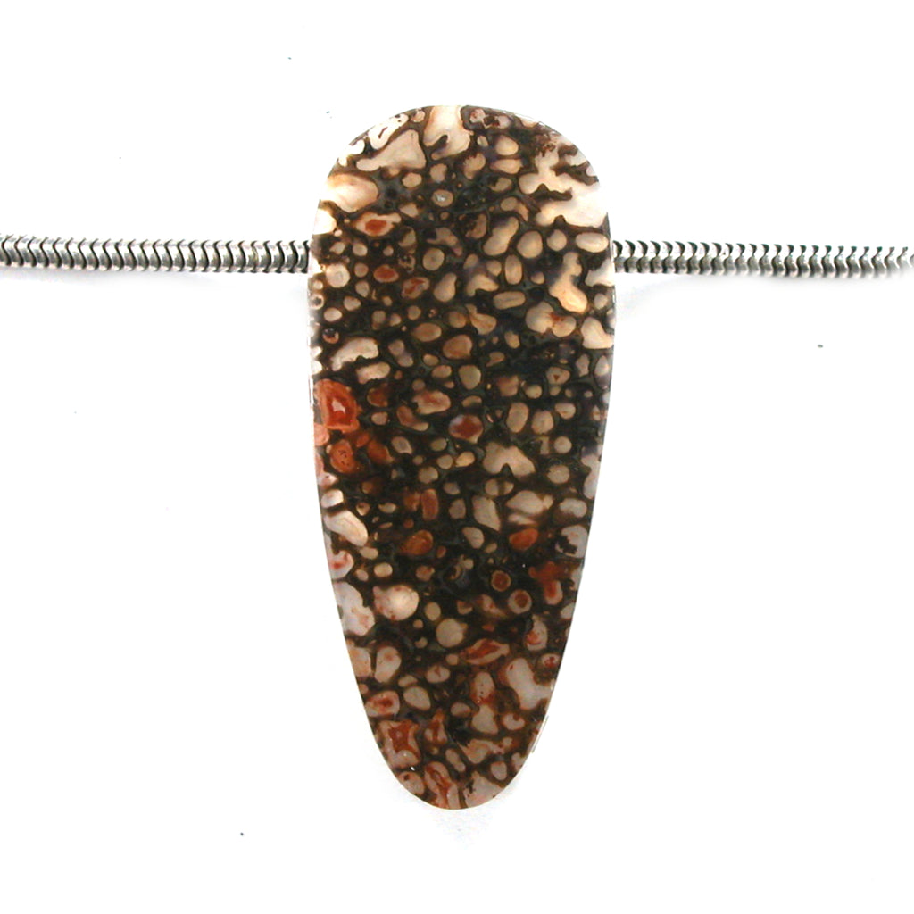 DVH Gem Dinosaur Bone Biopsy Mother of Pearl Doublet Bead 34x15x8mm (5798)