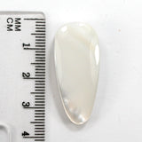 DVH Gem Dinosaur Bone Biopsy Mother of Pearl Doublet Bead 34x15x8mm (5798)