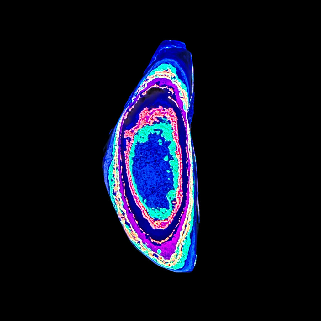 DVH Fluorescent Funkite Polished Face Rough Specimen  58x24x12mm 15g Like Fordite (6438) - DVHdesigns
