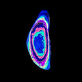 DVH Fluorescent Funkite Polished Face Rough Specimen  58x24x12mm 15g Like Fordite (6438) - DVHdesigns