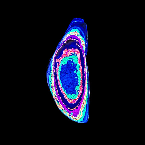 DVH Fluorescent Funkite Polished Face Rough Specimen  58x24x12mm 15g Like Fordite (6438)