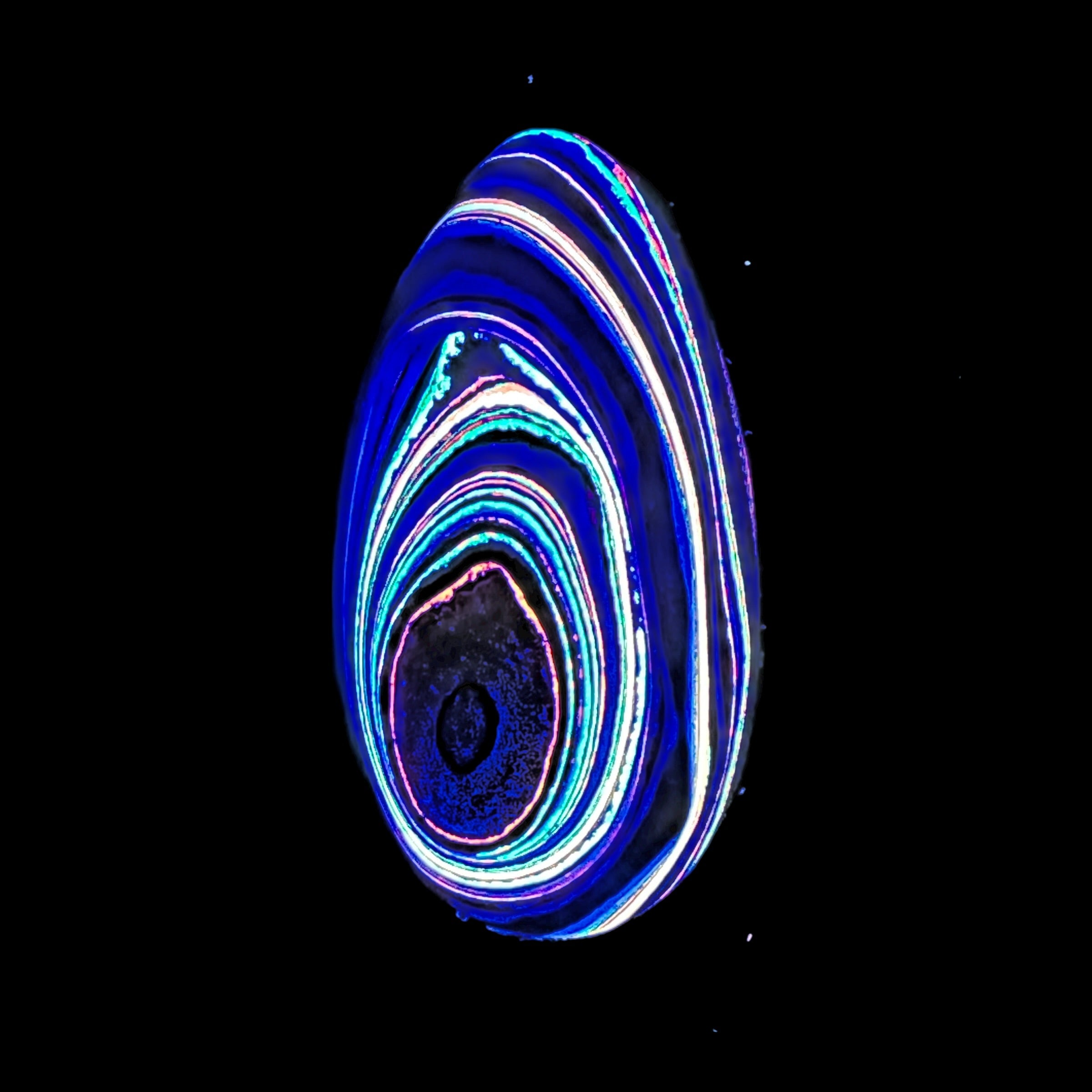 DVH Fluorescent Funkite Freeform Cabochon 55x29x8mm (Like Fordite) (6439)