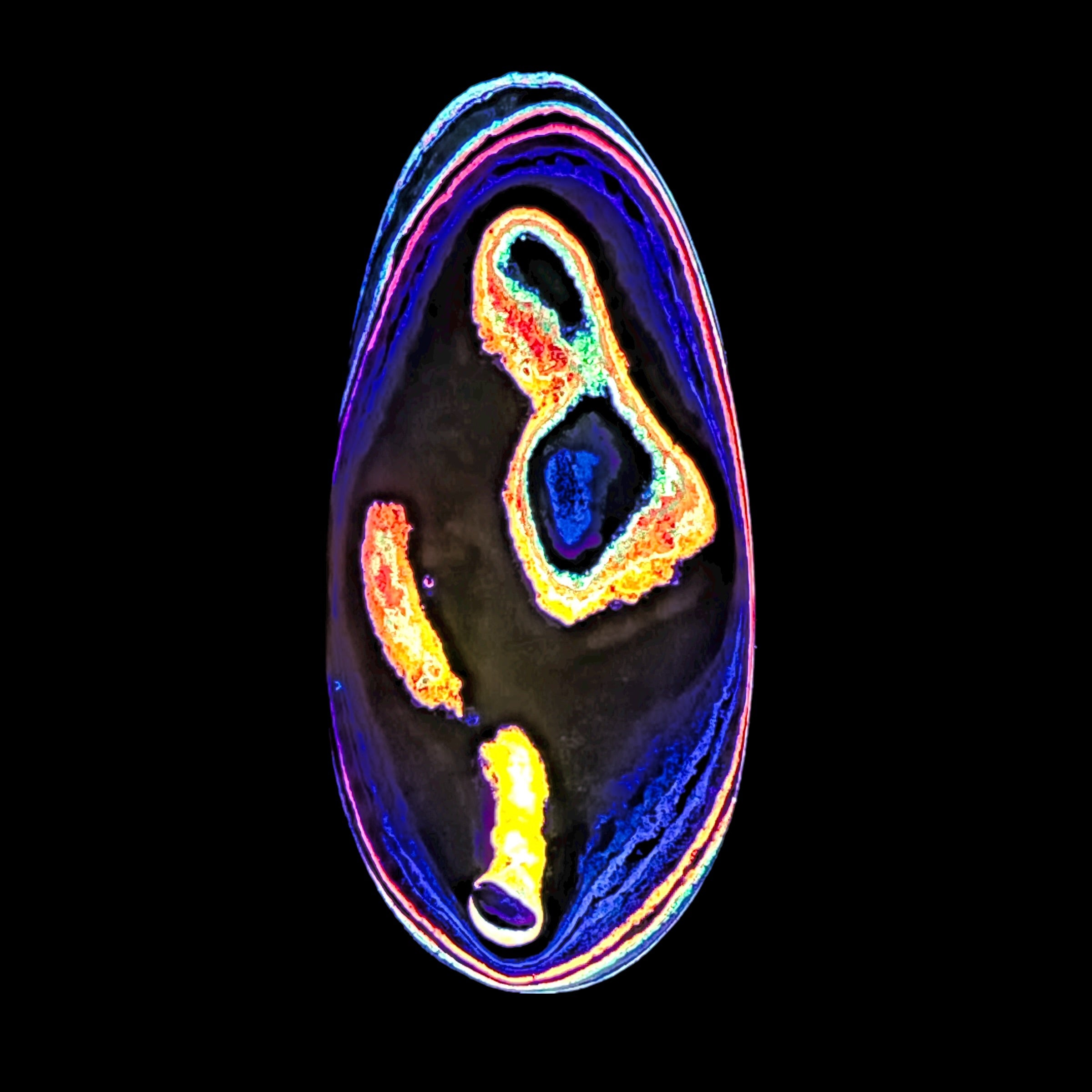 DVH Fluorescent Funkite Freeform Cabochon 62x29x7mm (Like Fordite) (6443)