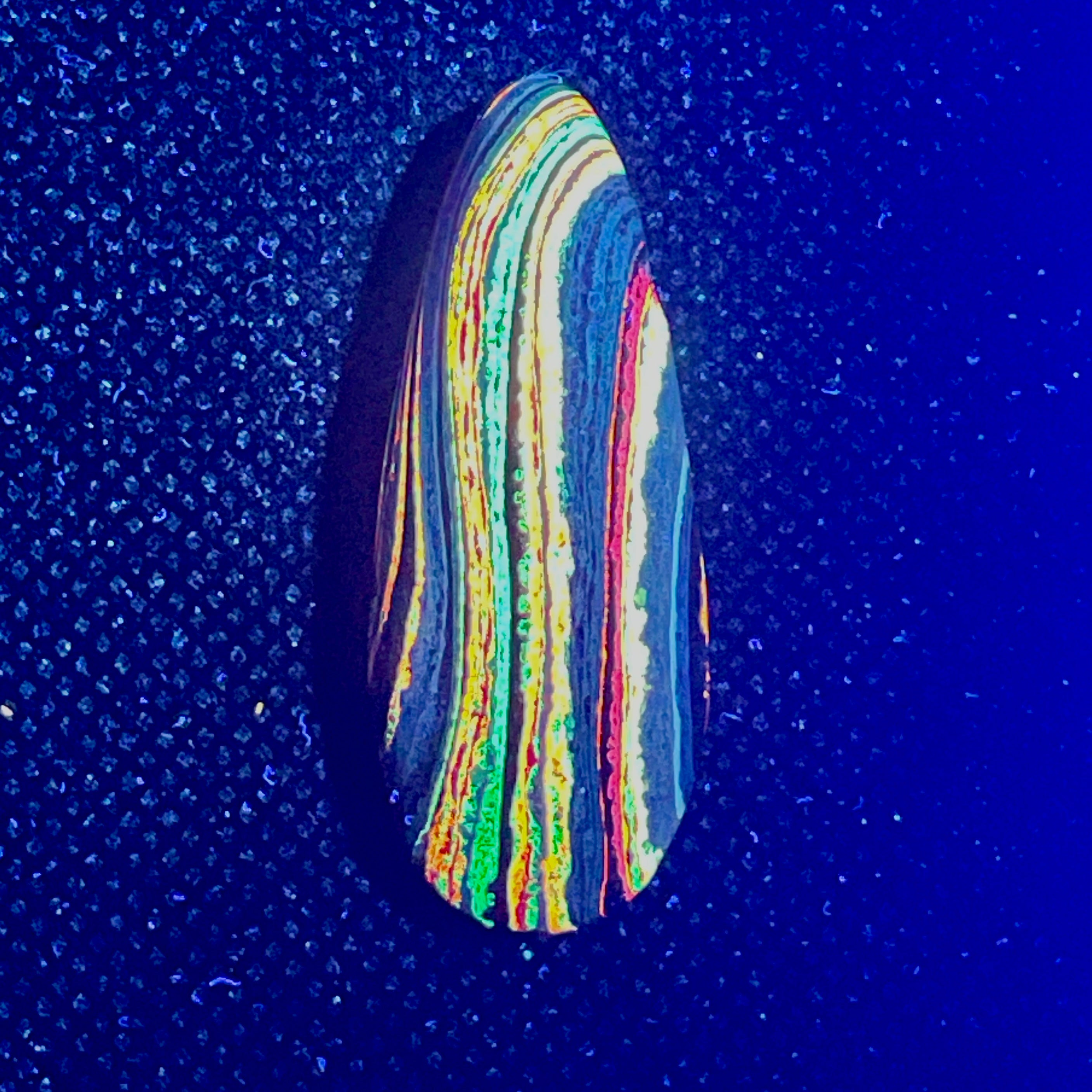DVH Fluorescent Funkite Bead Industrial Paint (Fordite related) 45x18x13mm (6633)