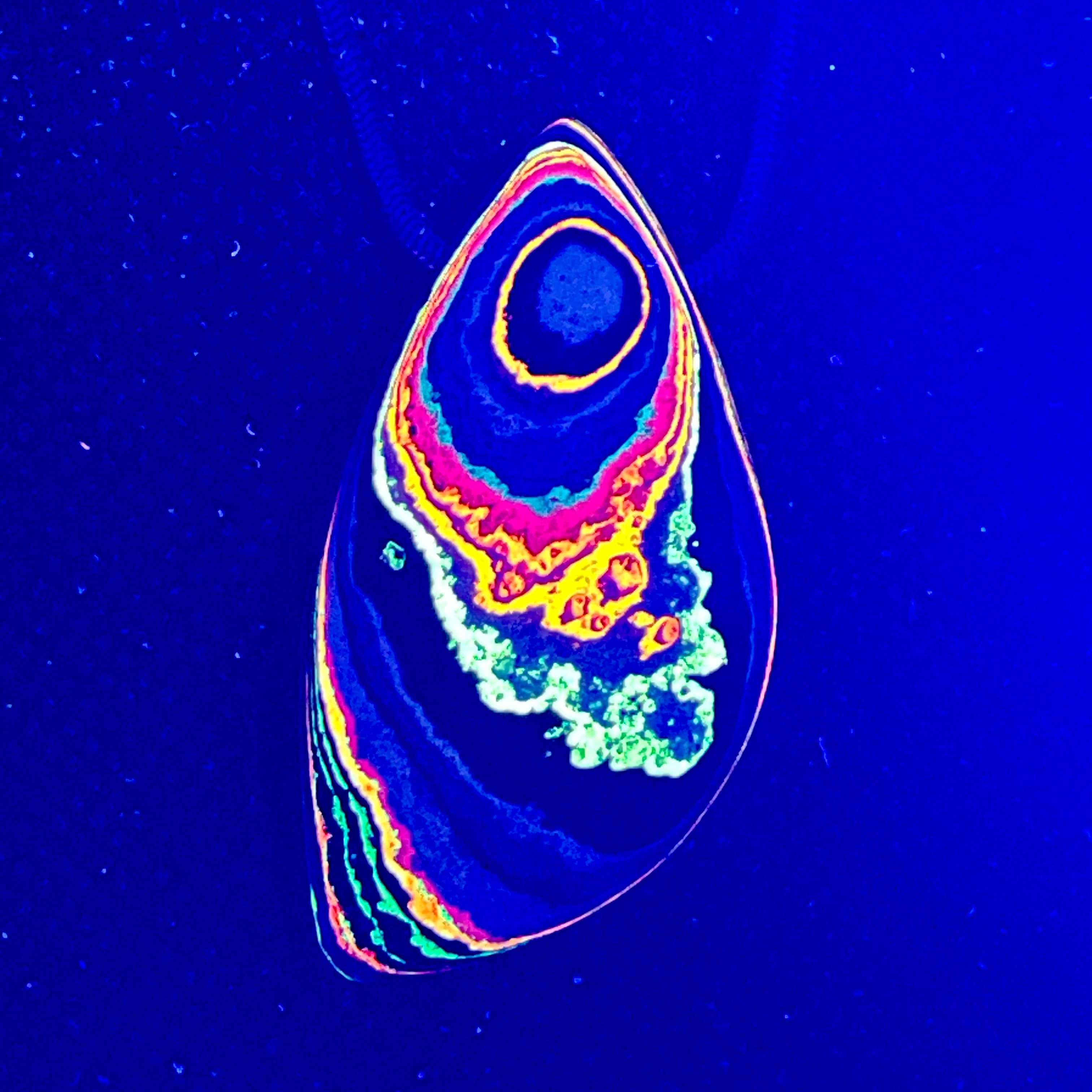 DVH Fluorescent Funkite Bead Industrial Paint (Fordite related) 45x25x11mm (6635)