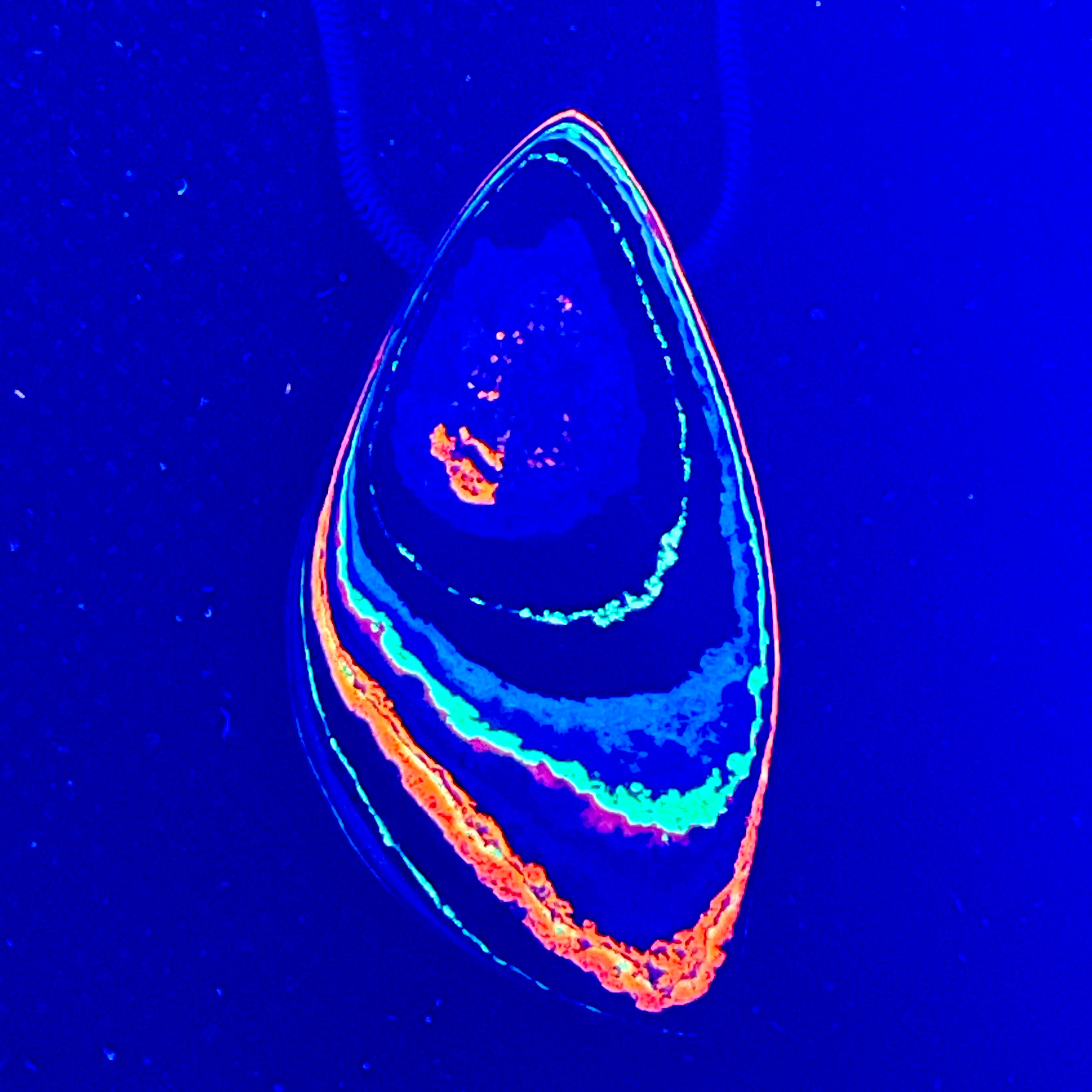 DVH Fluorescent Funkite Bead Industrial Paint (Fordite related) 45x25x11mm (6635)