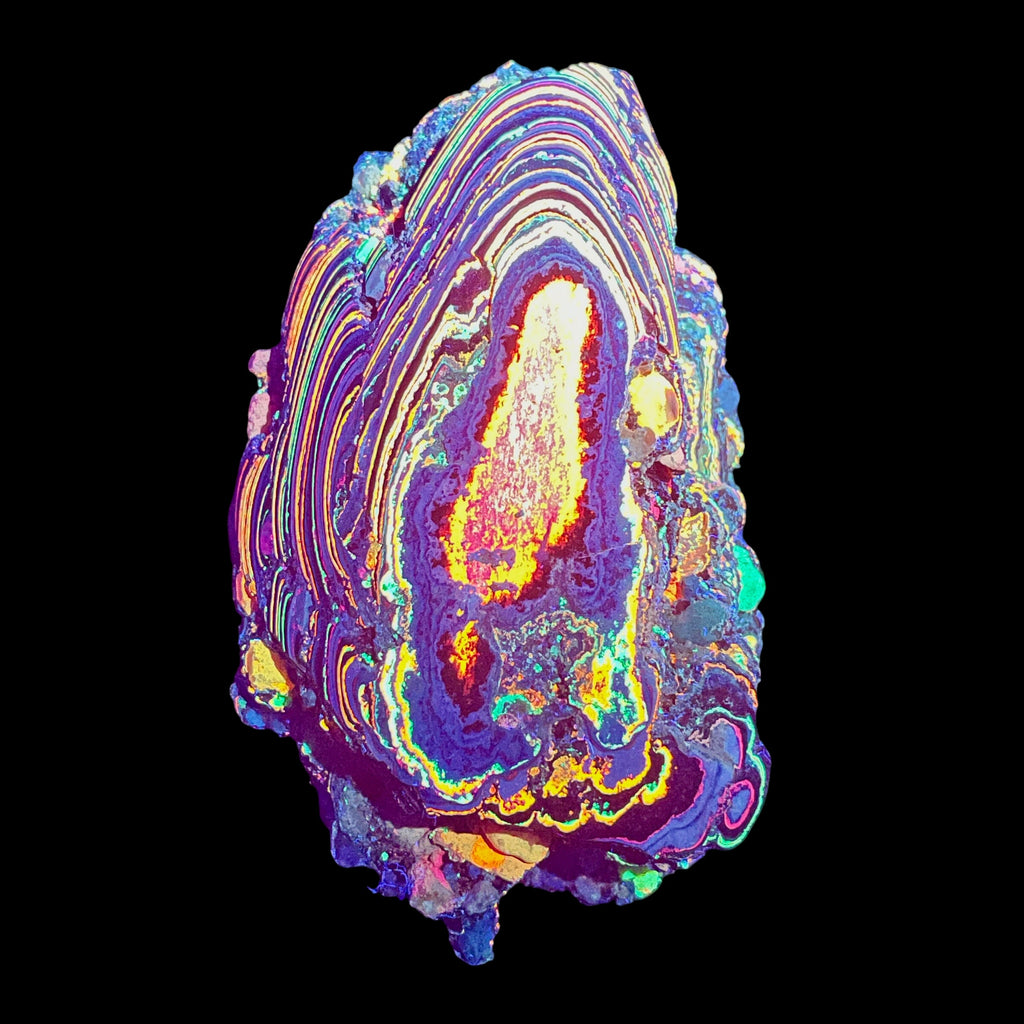 AAA+ Fluorescent Funkite Polished Face Display Specimen 110x73x53mm 325g Like Fordite (6637)