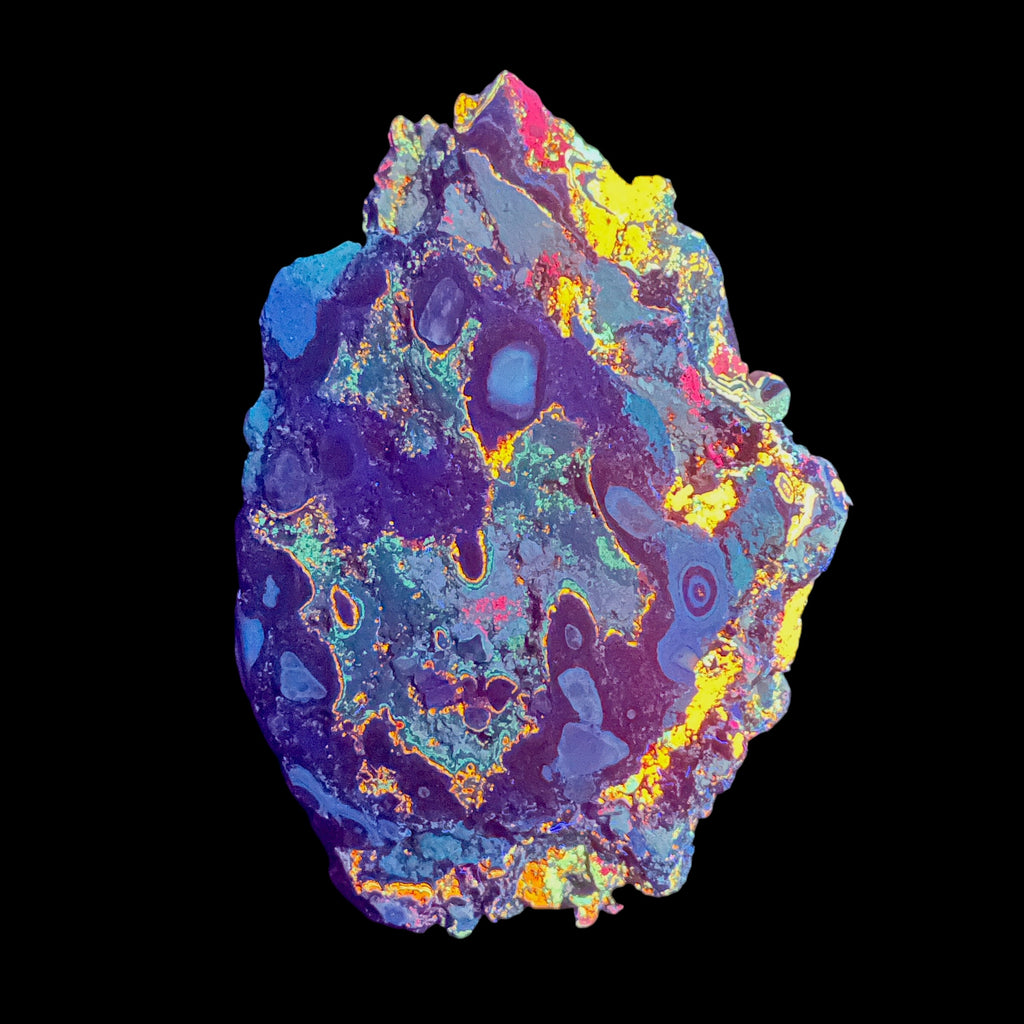 AAA+ Fluorescent Funkite Polished Face Display Specimen 110x73x53mm 325g Like Fordite (6637)