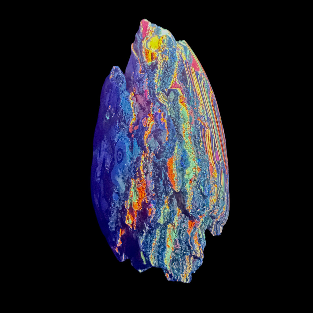 AAA+ Fluorescent Funkite Polished Face Display Specimen 110x73x53mm 325g Like Fordite (6637)
