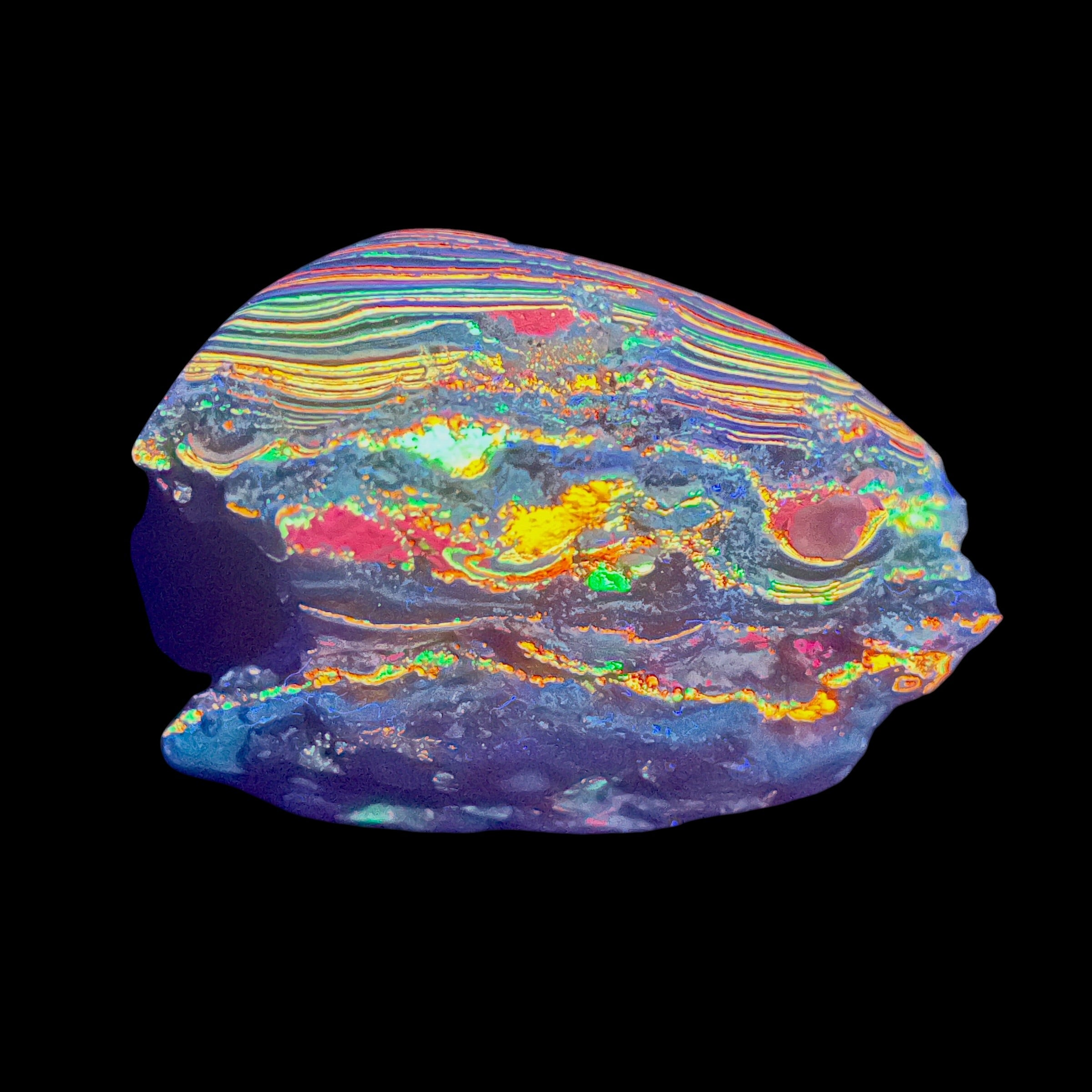 AAA+ Fluorescent Funkite Polished Face Display Specimen 110x73x53mm 325g Like Fordite (6637)