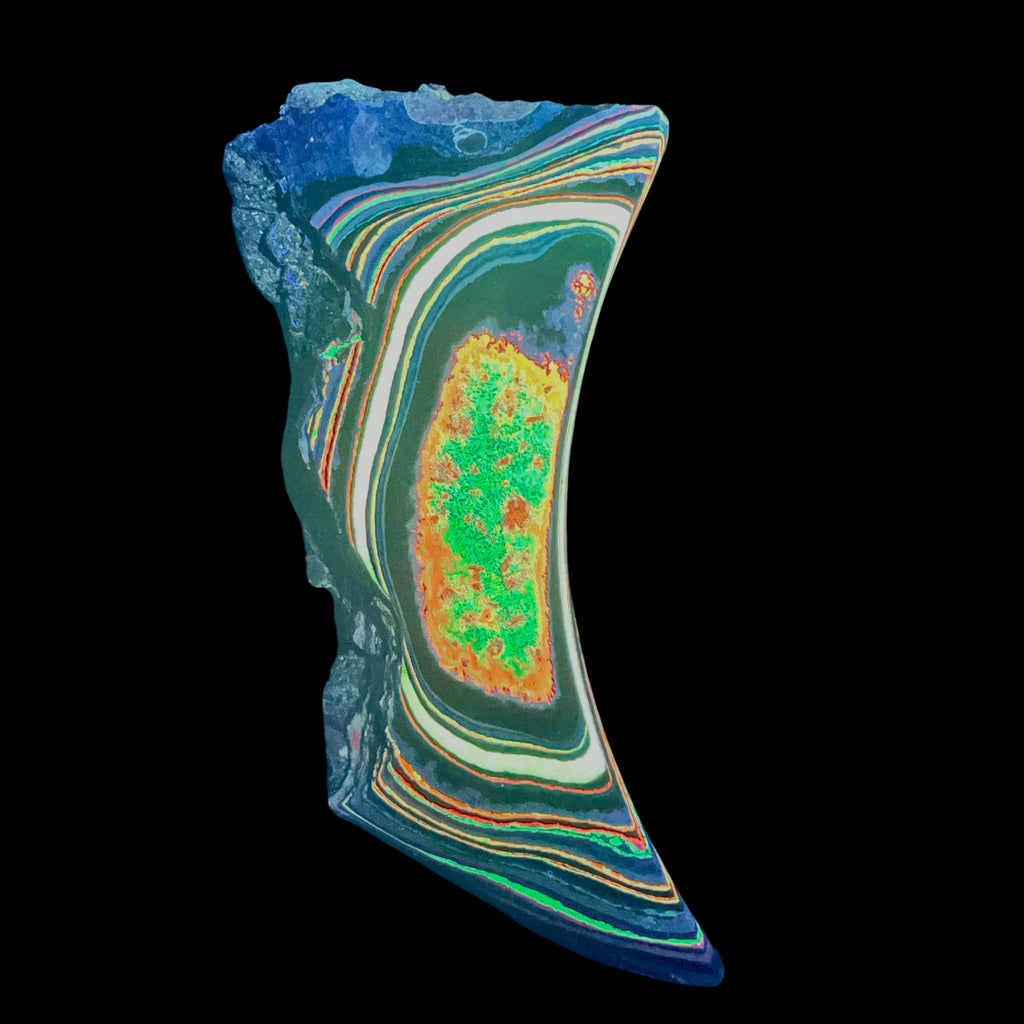 DVH Fluorescent Funkite Polished Face Rough Specimen 91x33x20mm 76g Like Fordite (6639)